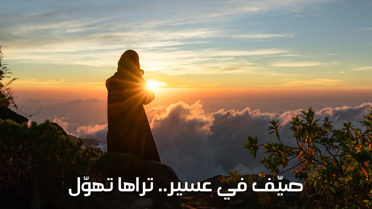 صيف عسير - مصدر الصورة واس