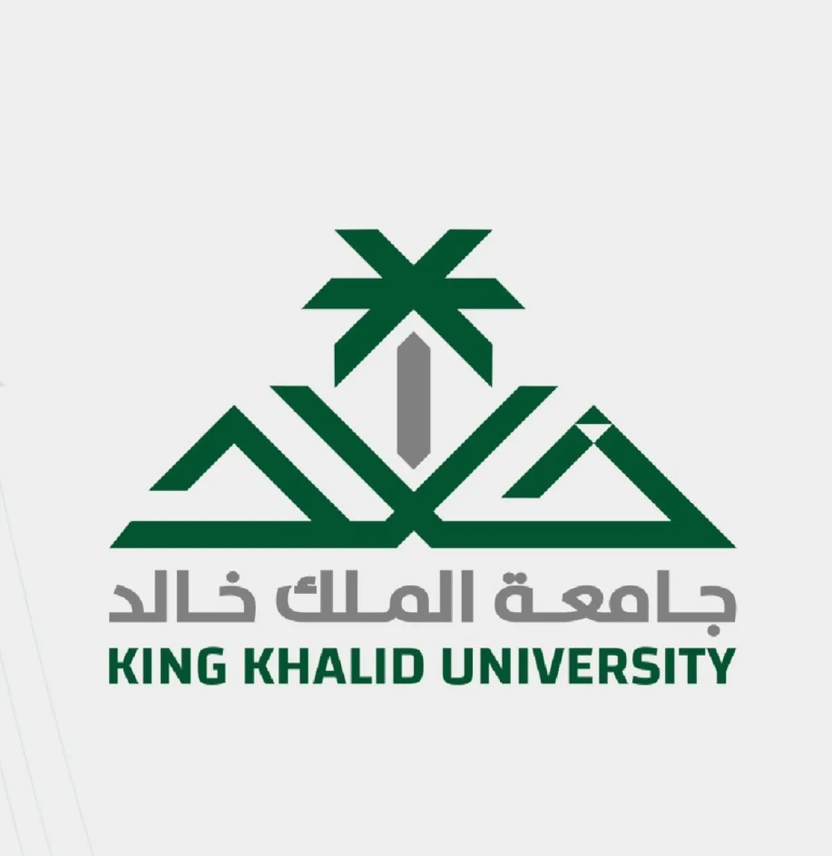 جامعة الملك خالد 