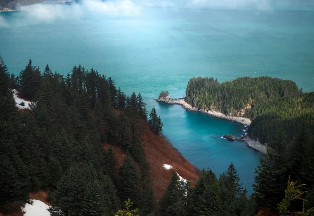 صورة تعبيرية