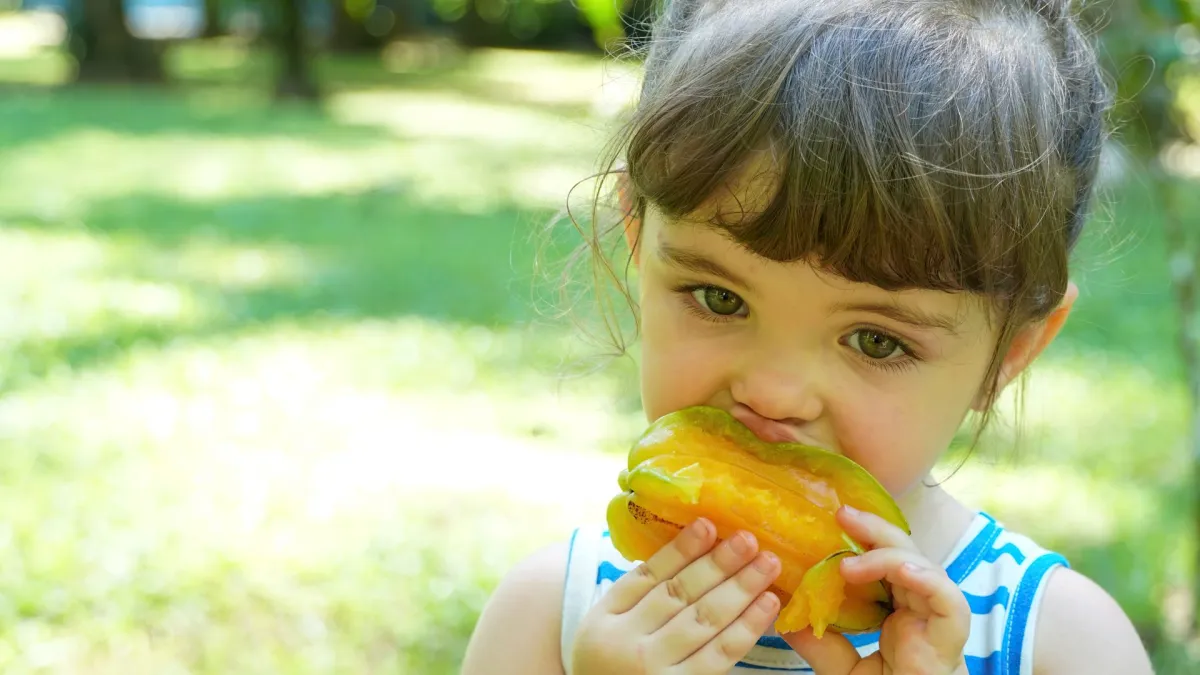 صورة طفلة تأكل المانجو