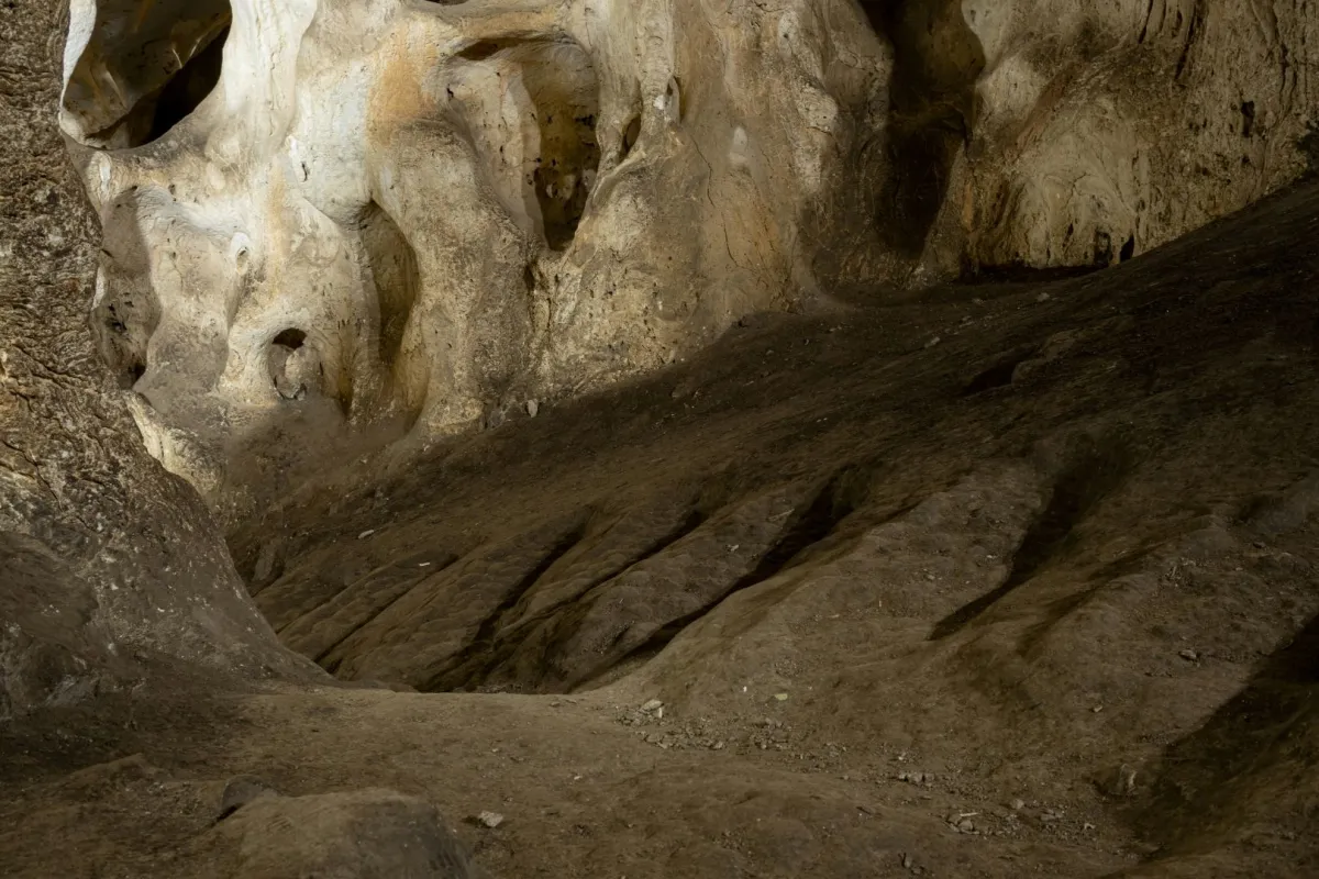 اكتشاف أدوات خياطة تعود إلى 13 ألف عام