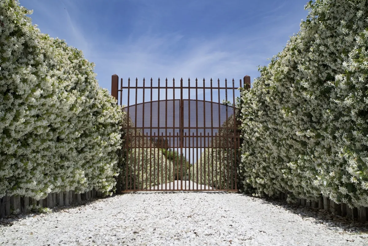 باب حديد تابع لحديقة منزلية