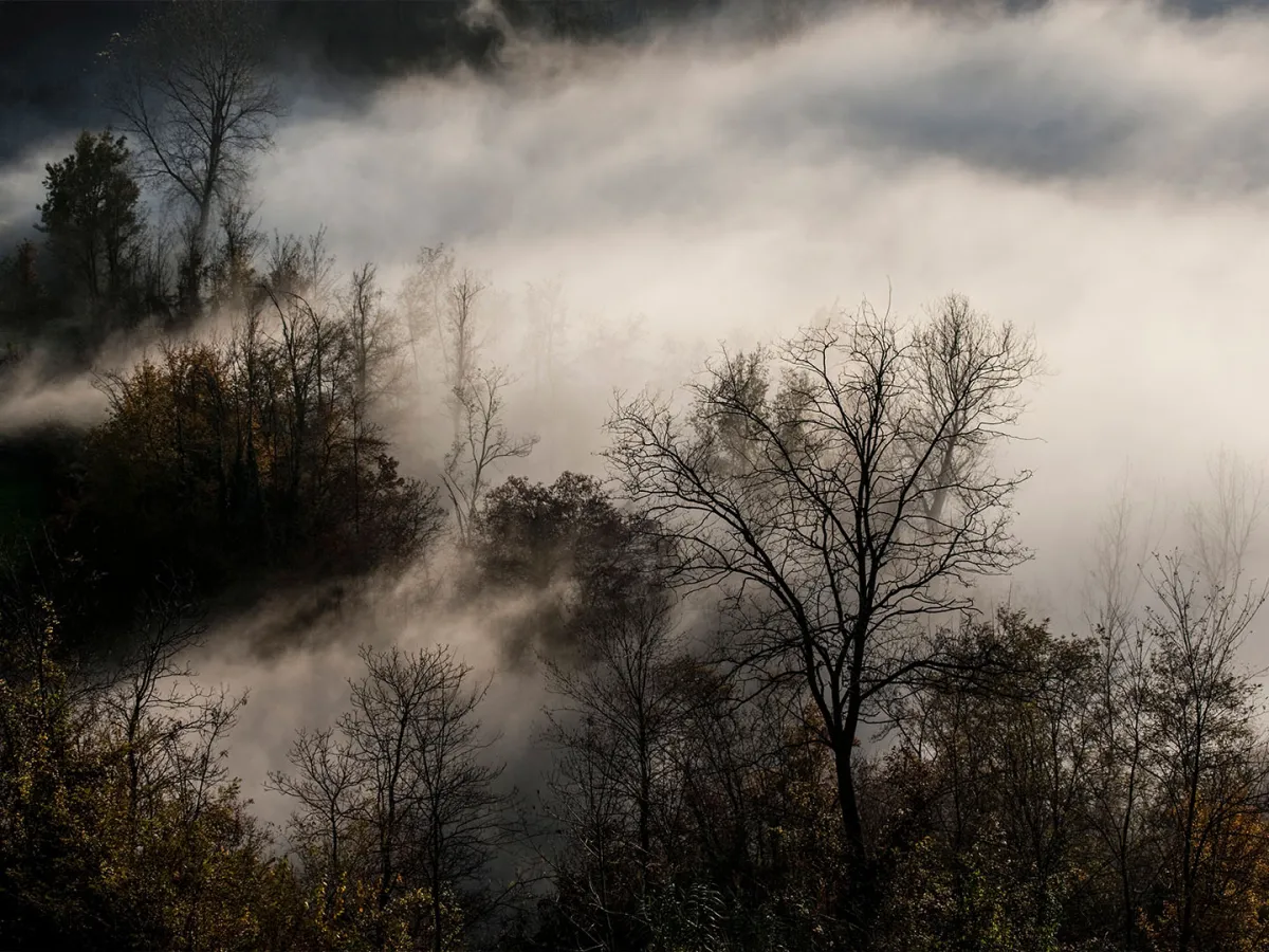تفسير حلم رؤيا الضباب في المنام