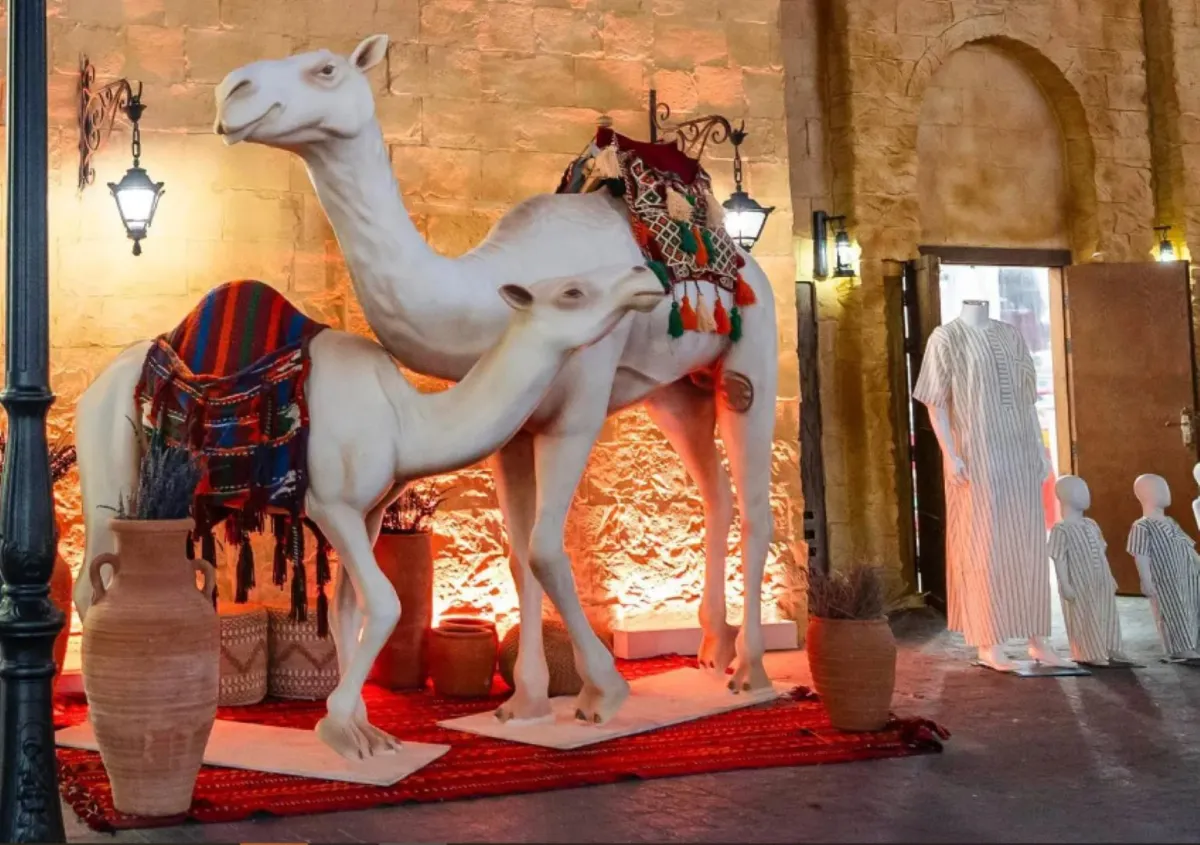 مبادرة عام الإبل 2024.. تجربة ثقافية تفاعلية تستقطب الزوار في السيتي ووك بموسم جدة