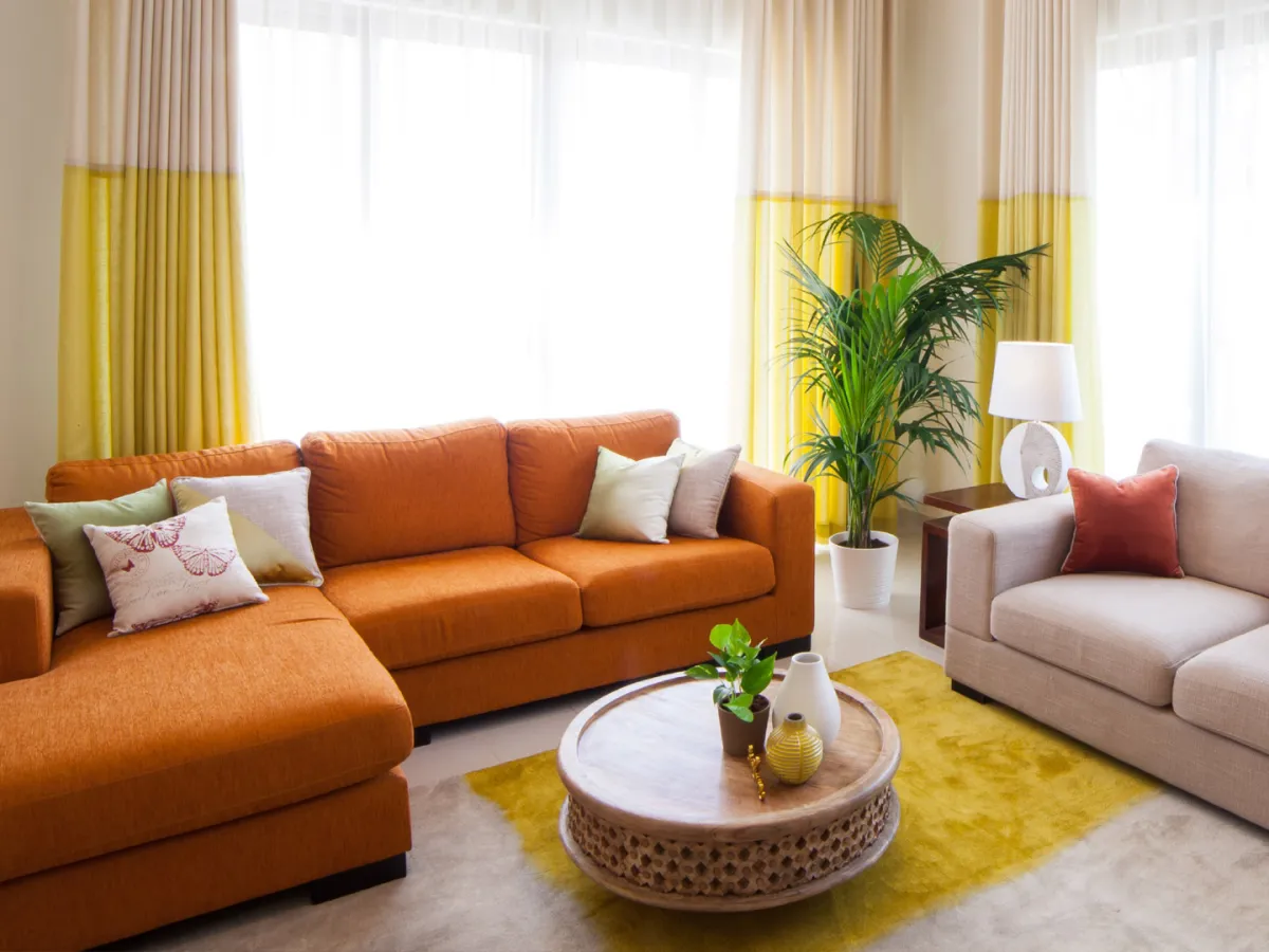  الصورة من أعمال المصممة رينسي فيليب  