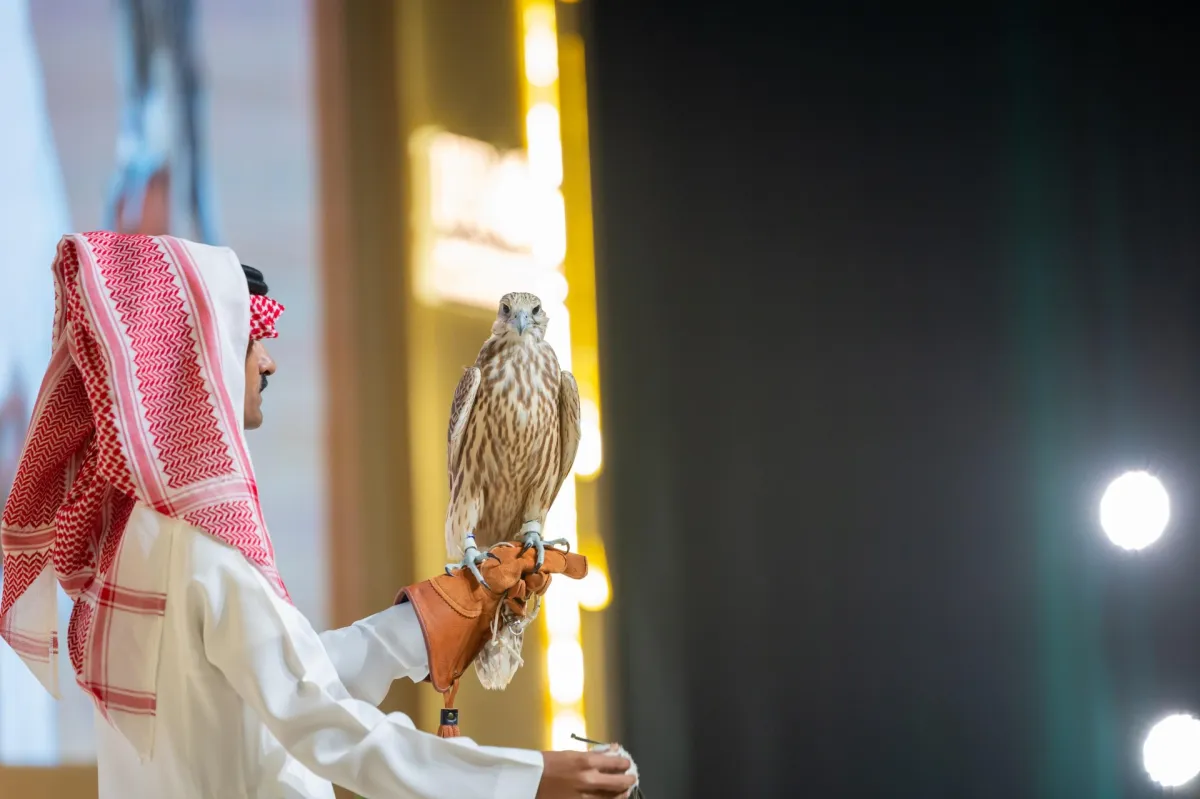 المزاد الدولي لمزارع إنتاج الصقور