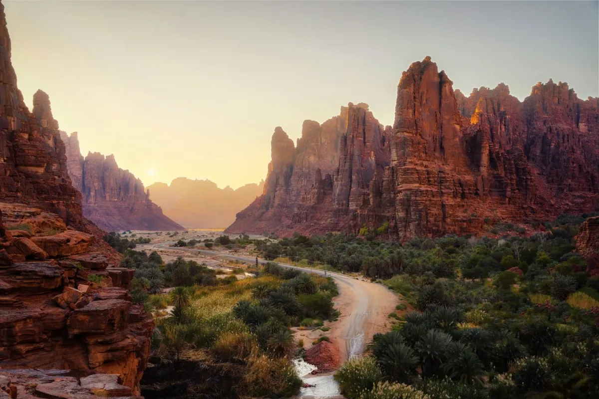 وادي الديسة