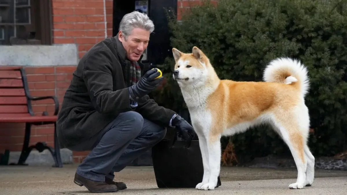 Hachi: A Dog's Tale- الصورة من IMDB