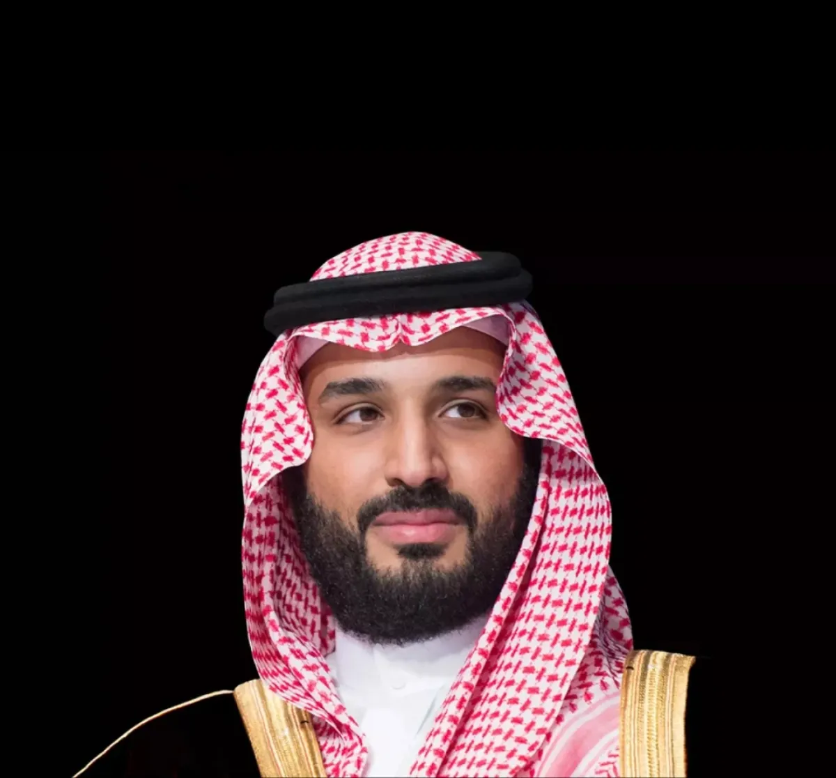 الأمير محمد بن سلمان ولي العهد السعودي ورئيس مجلس الوزراء
