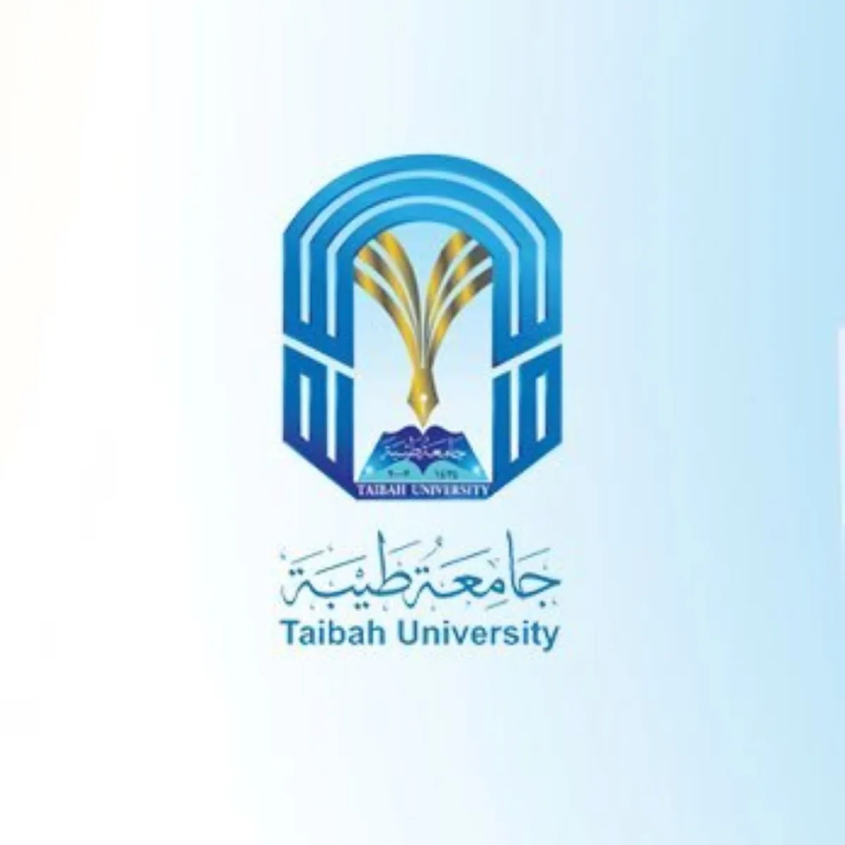جامعة طيبة