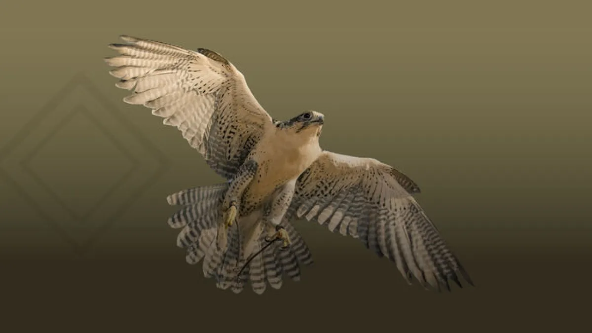 معرض أبوظبي الدولي للصيد والفروسية. الصورة من مكتب أبوظبي الإعلامي