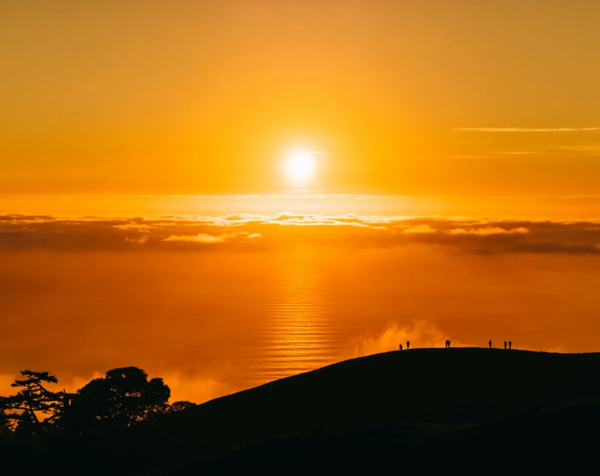 الموارد البشرية السعودية: انتهاء تطبيق قرار حظر العمل تحت أشعة الشمس اليوم