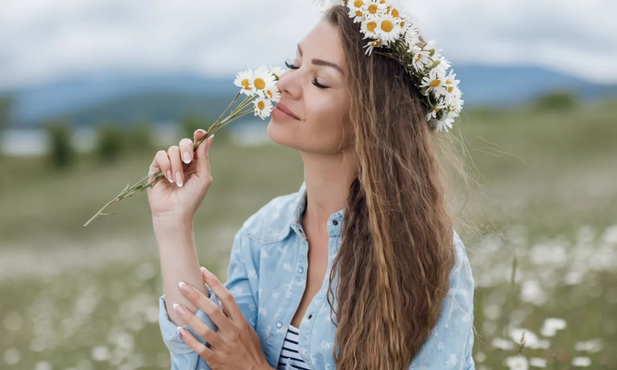 طرق استخدام البابونج للشعر