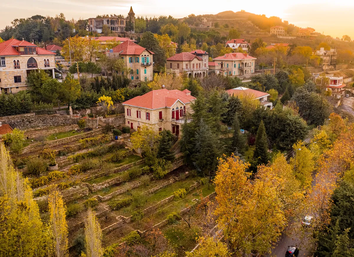 غابات الصنوبر والسنديان بعدسة المصور رامي رازق