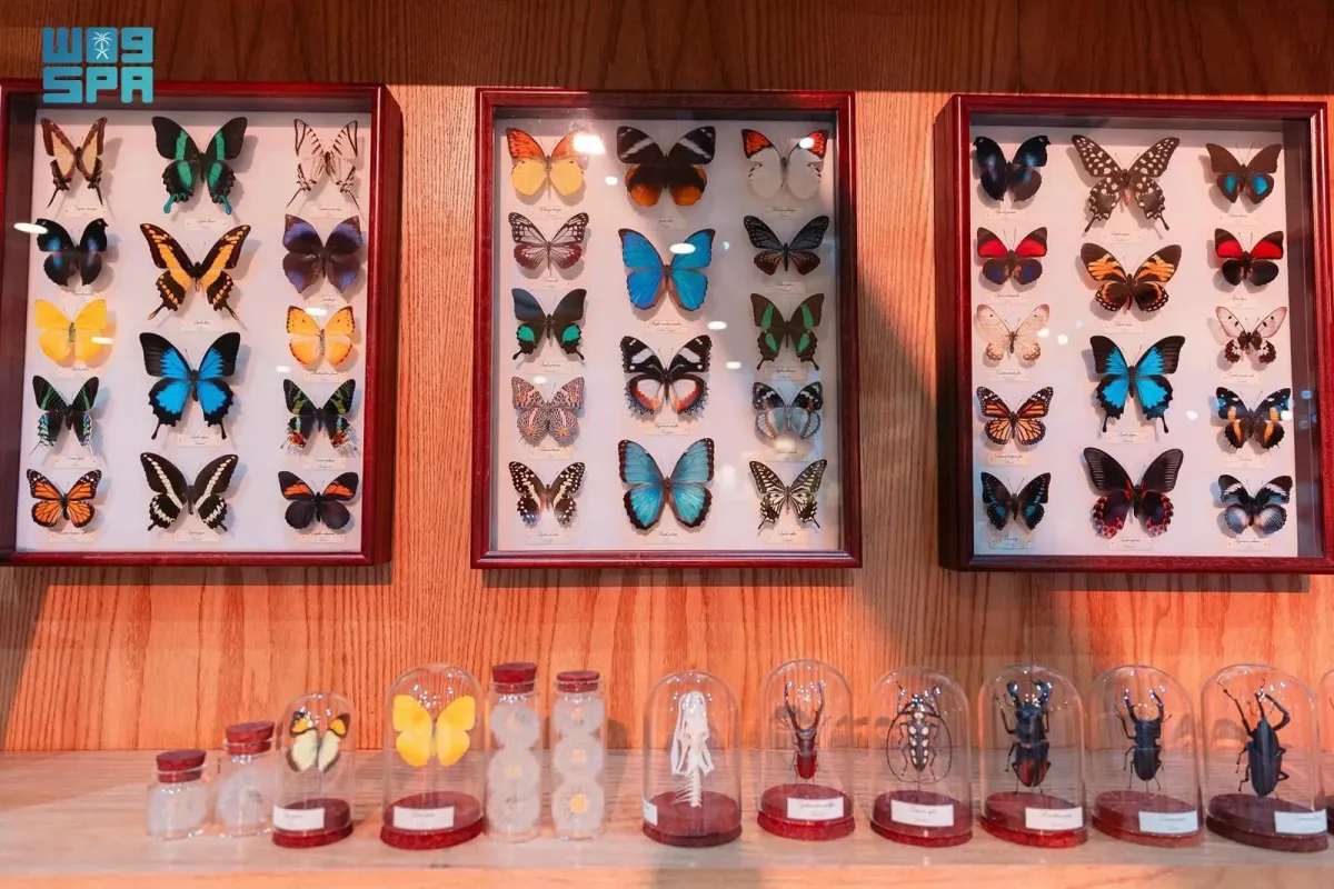 معرض الصقور