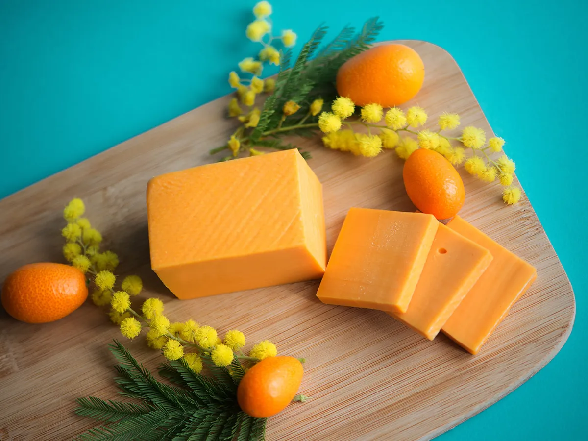 جبنة الشيدر