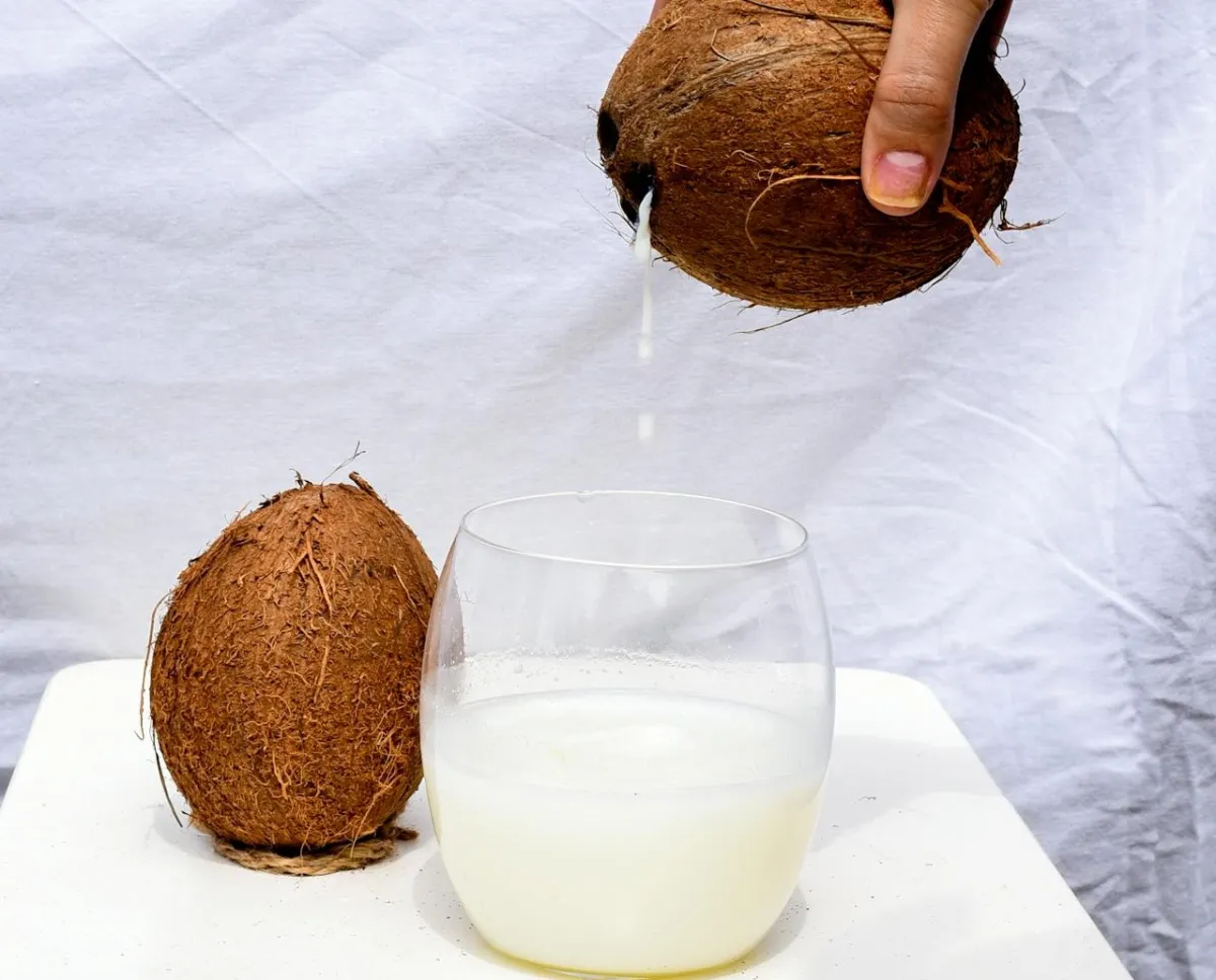 فوائد ماء جوز الهند في ترطيب الجسم