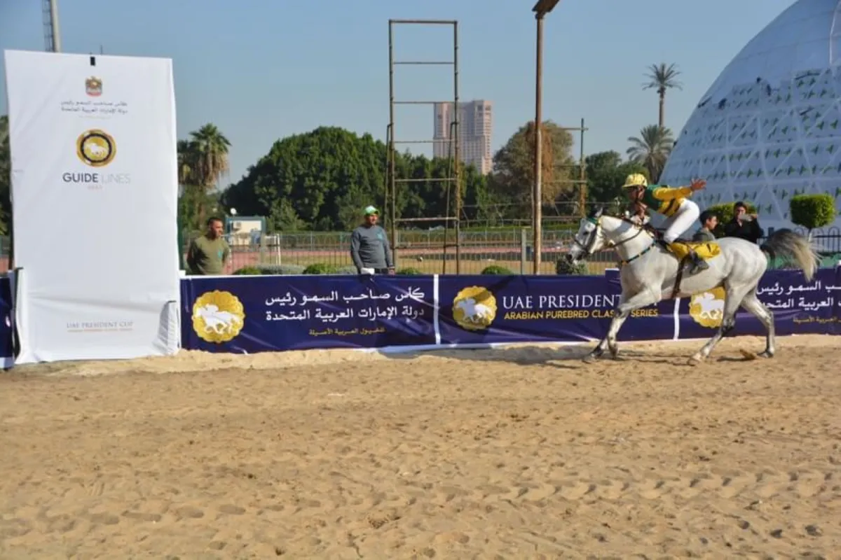 مصر تستضيف كأس رئيس الدولة للخيول العربية الأصيلة - مصدر الصورة وكالة أنباء الإمارات