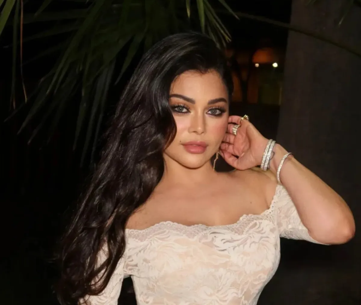 هيفاء وهبي- الصورة من صفحتها الرسمية على فيس بوك