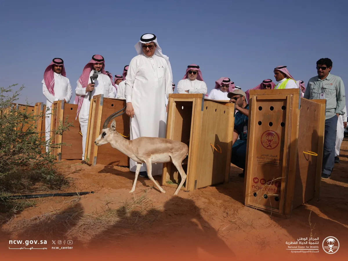 وزارة البيئة