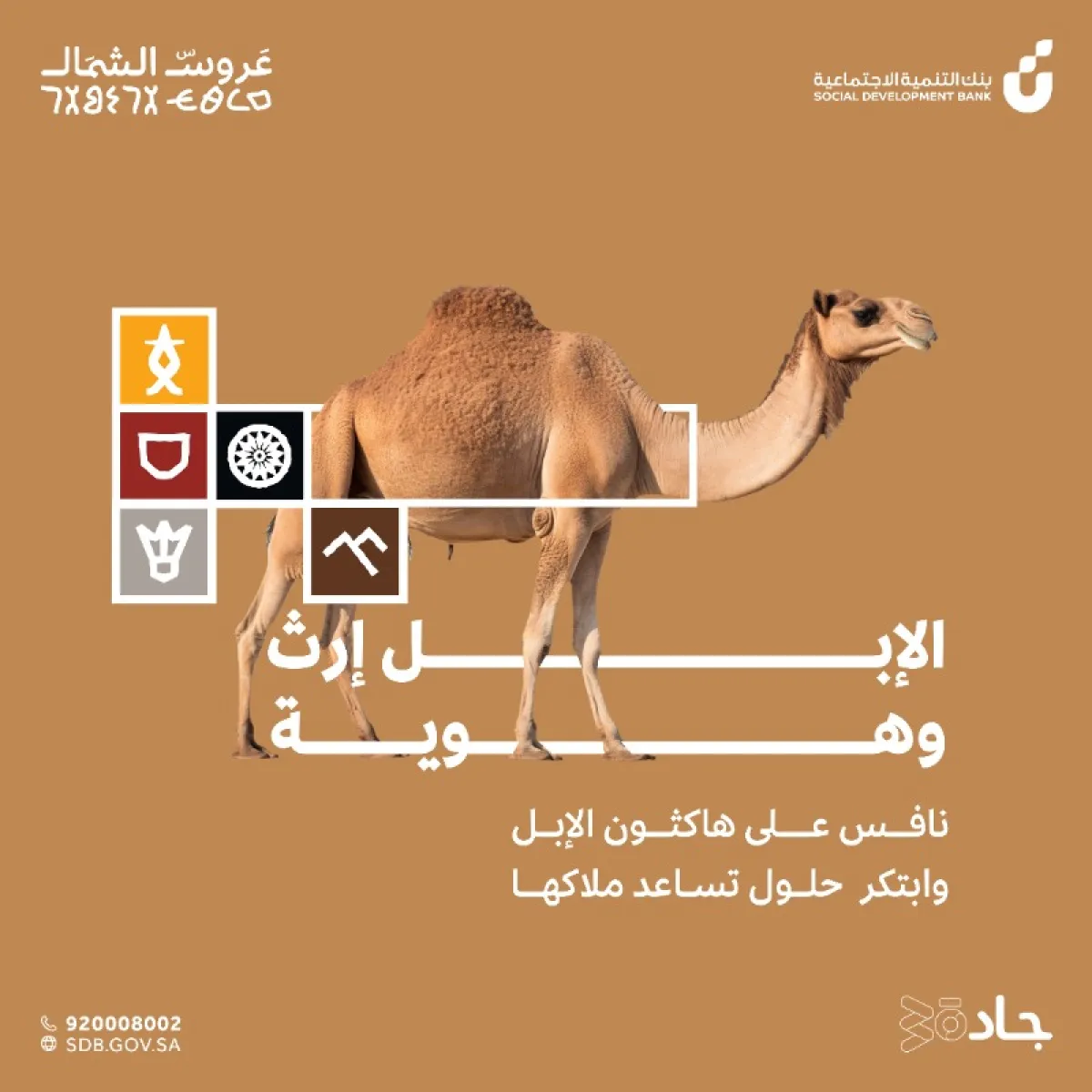  هاكثون الإبل