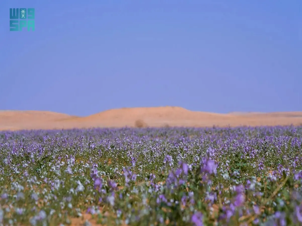 محمية الملك عبدالعزيز الملكية