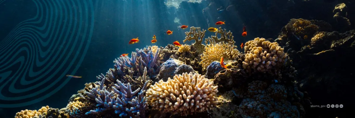 الشُعب المرجانية والسلاحف البحرية في البحر الأحمر