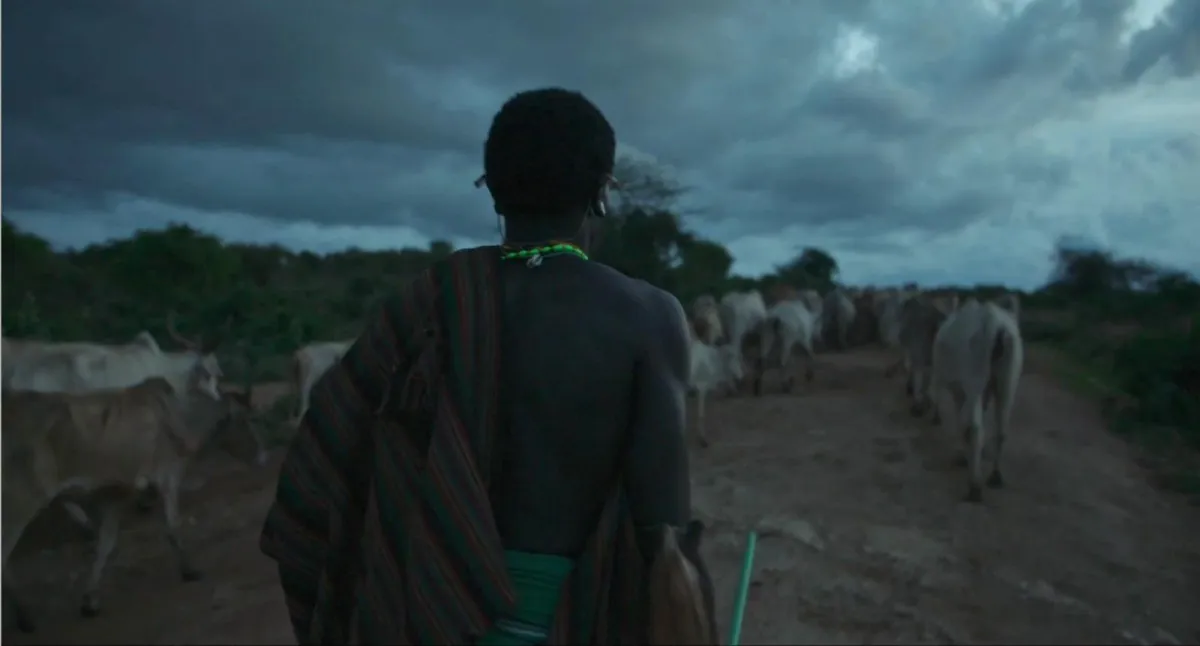 فيلم الصراع لأجل لايكيبيا - الصورة من المركز الإعلامي لمهرجان الجونة