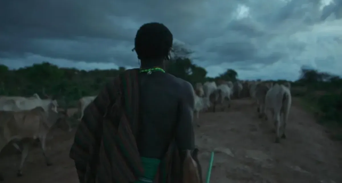 فيلم الصراع لأجل لايكيبيا - الصورة من المركز الإعلامي لمهرجان الجونة السينمائي