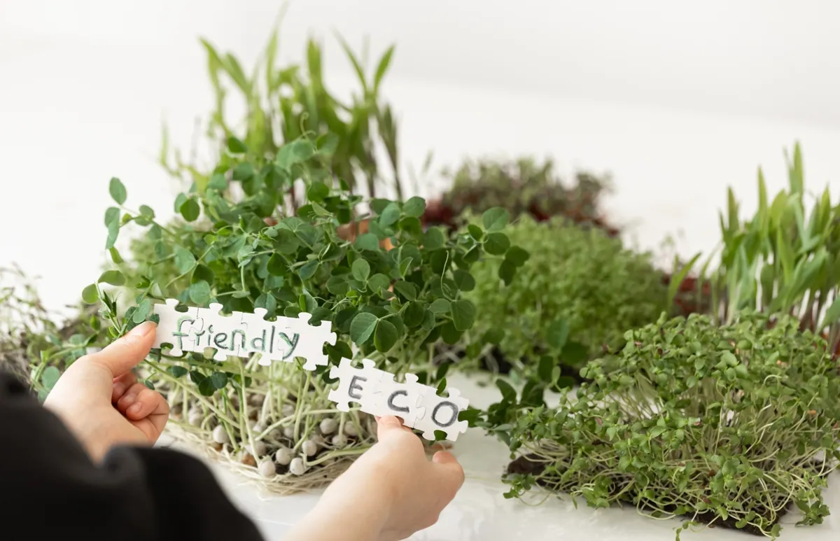 يحتوي السمح على العديد من البروتينات والسكريات والمعادن والفيتامينات Image By Freepik