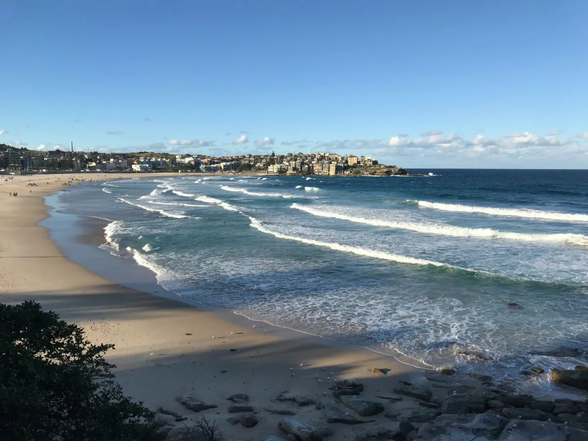 ظهور مخلوق غريب على أحد شواطئ أستراليا أثار دهشة الجميع