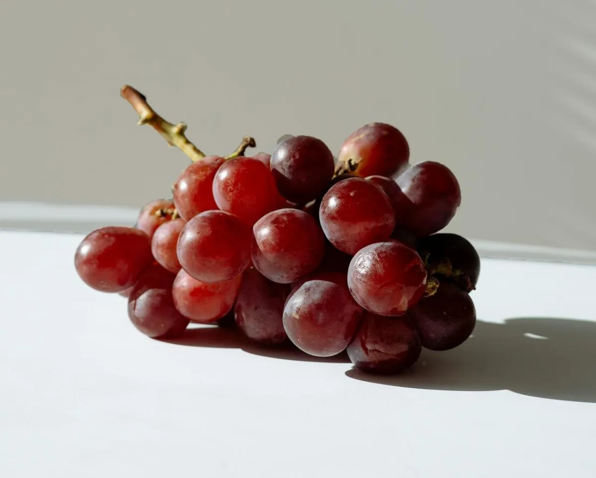 فوائد العنب الصحية لا تقدر بثمن