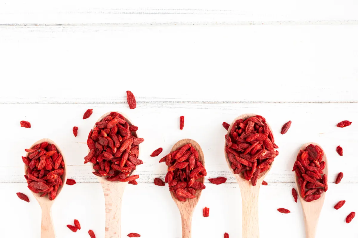 حلبة الخيل- المصدر freepik