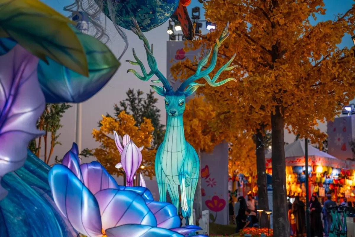 منطقة وندر جاردن