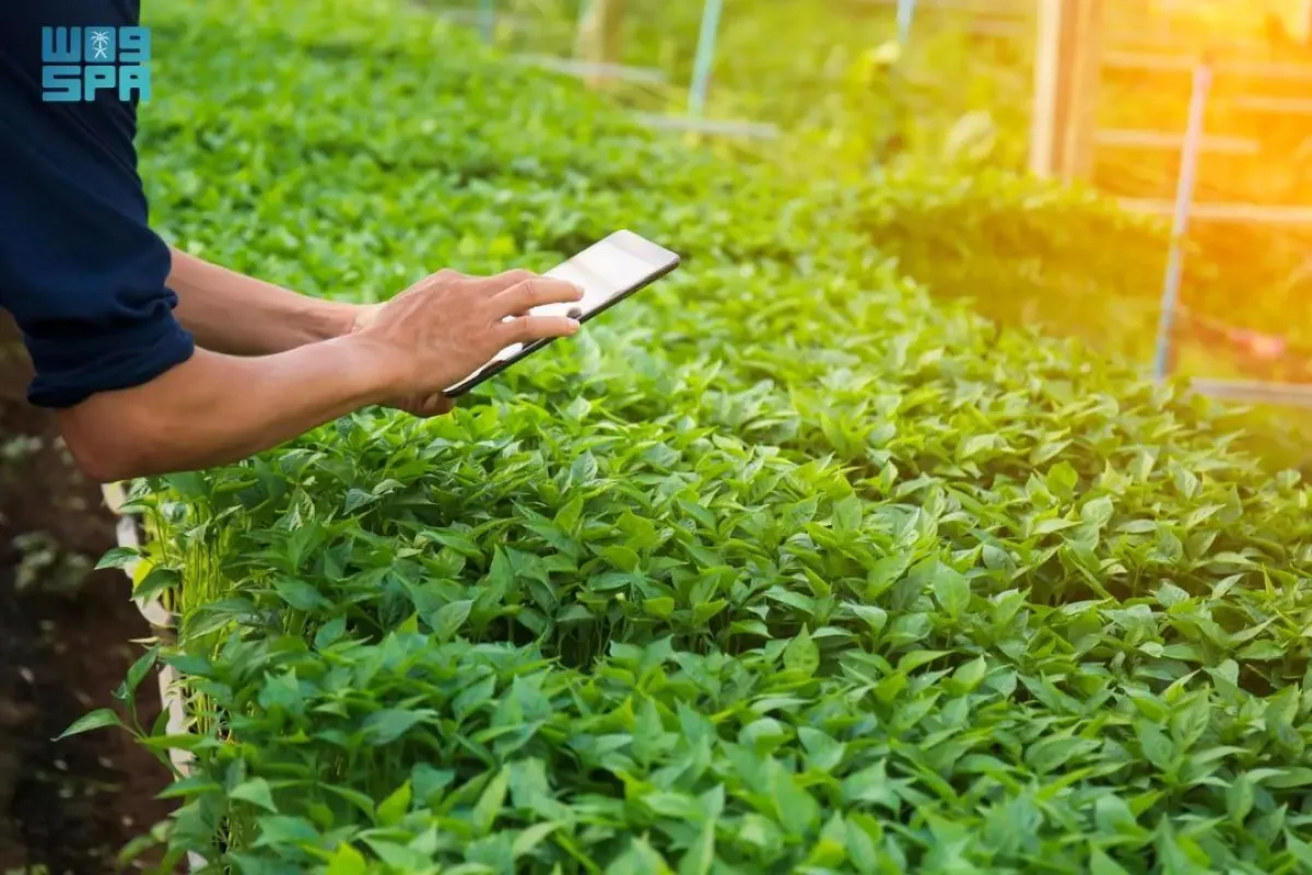 باتت التكنولوجيا الحيوية تلعب دوراً متزايداً في تحسين صحة التربة وتعزيز قدرتها على مقاومة التدهور