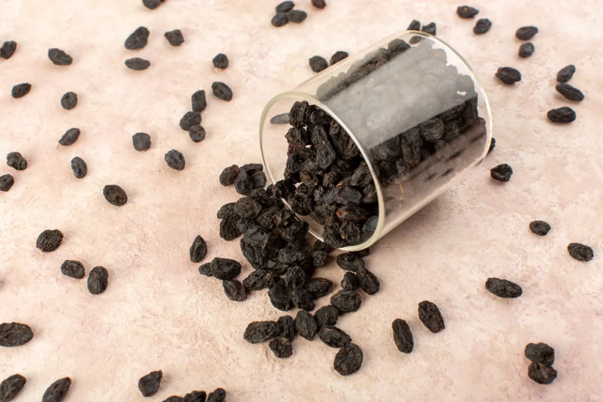 عشبة المومياء- المصدر freepik