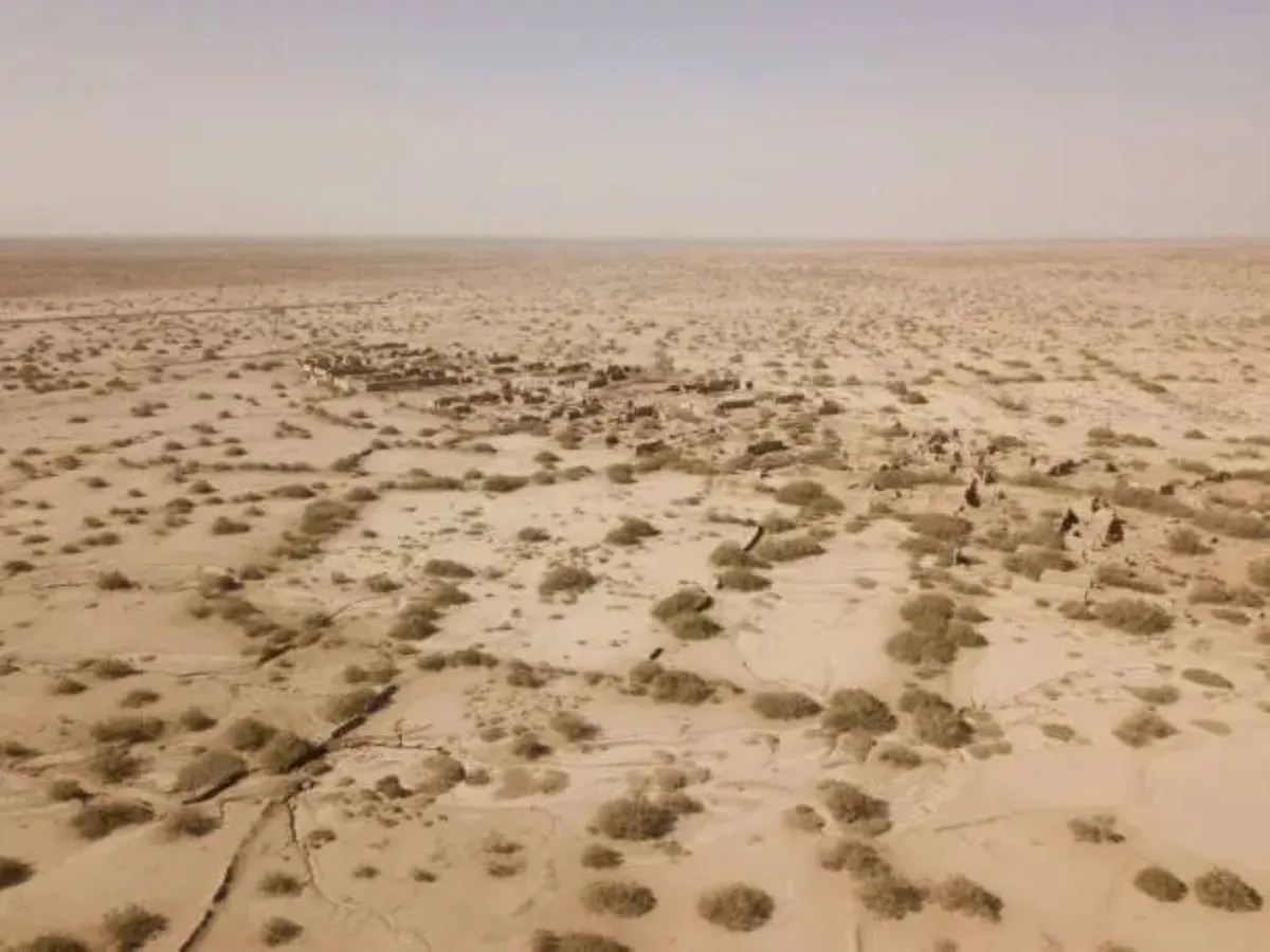 أكبر صحراء في الصين تحاط بالكامل بحزام أخضر.. تعرفوا على التفاصيل