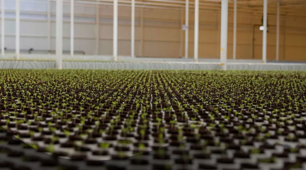 نيوم تطلق أول بيت زراعي ذكي في أوكساجون.. تعرفوا على التفاصيل