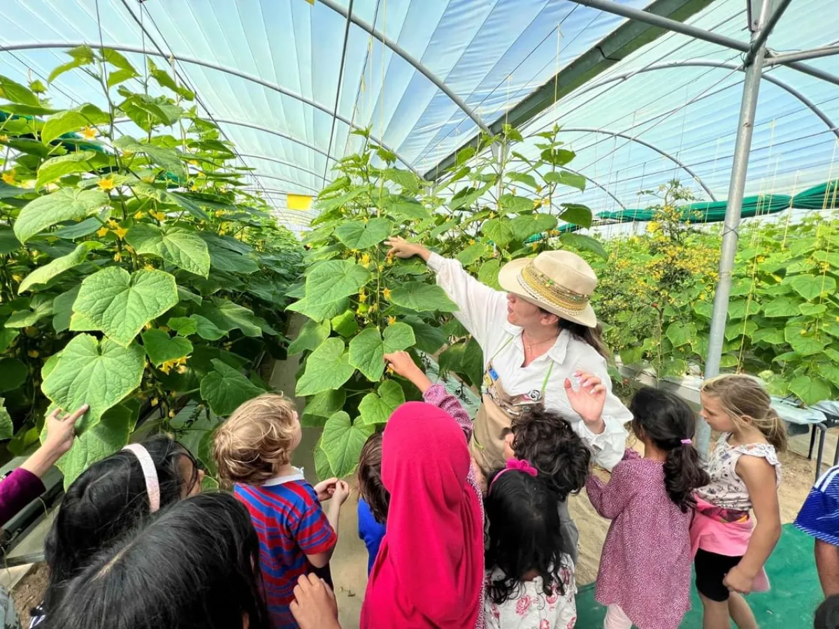  أنشطة متنوعة خلال العطلة الشتوية. الصورة من wam