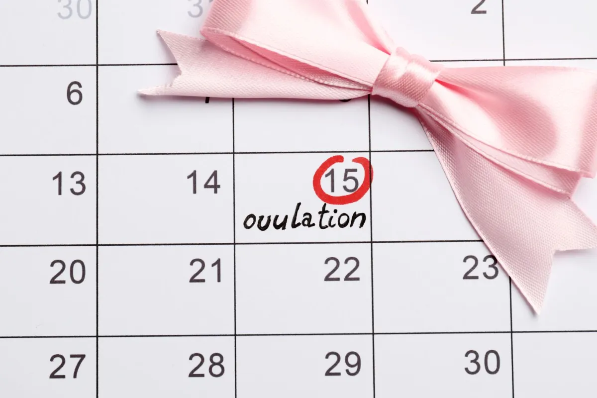 صورة تعبر عن الدورة الشهرية الطبيعية