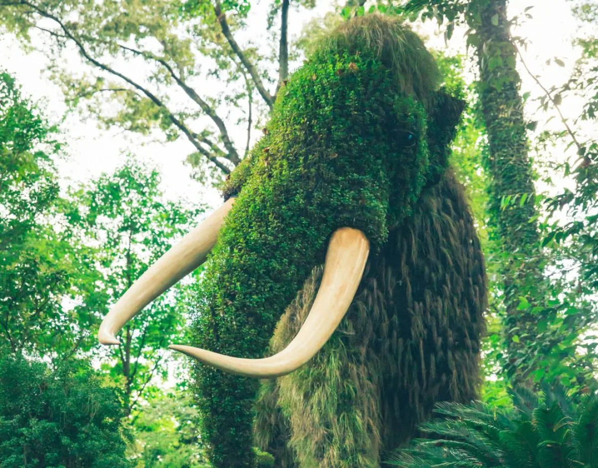 ويعد اكتشاف بقايا ماموث يانا حدثاً استثنائياً في عالم علم الآثار