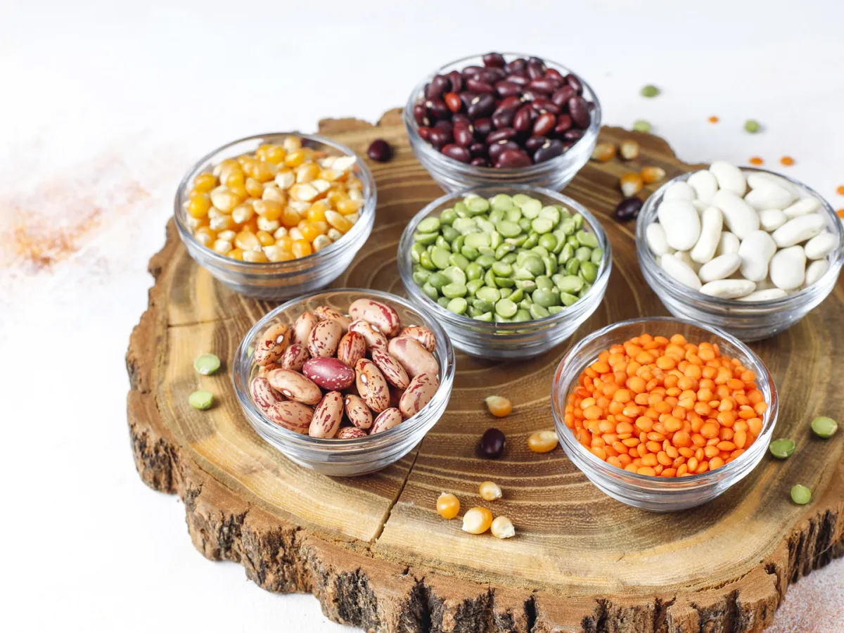 عملية الأيض هي العمليات الحيوية التي تقوم بها خلايا الجسم  Image by azerbaijan_stockers on Freepik