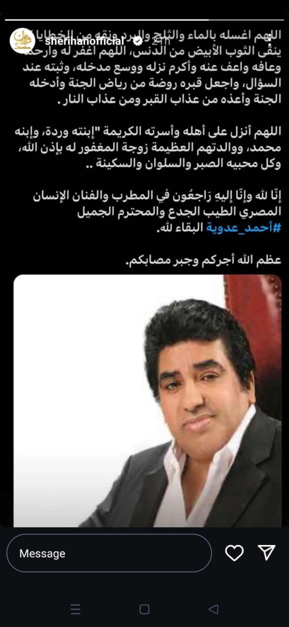 الصورة من خاصية القصص القصيرة بحساب شريهان على إنستغرام