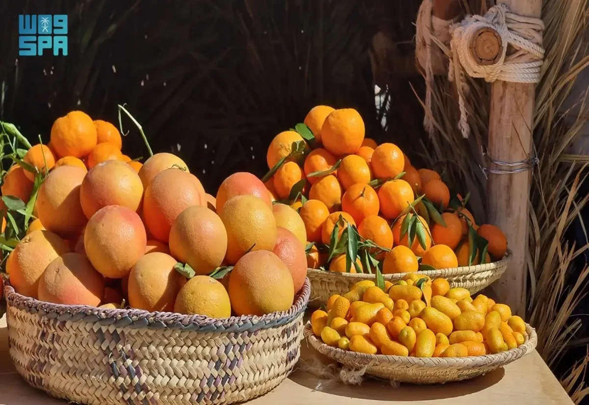 موسم الحمضيات