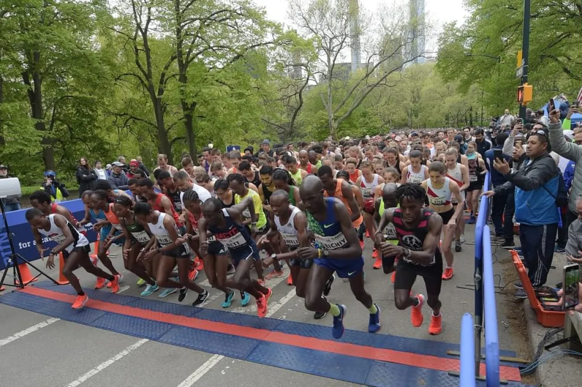 سباق زايد الخيري الصورة من وام 