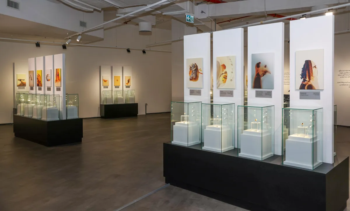 افتتاح معرض الإبداع الإلهي. الصورة من الحساب الرسمي لكتارا على منصة x