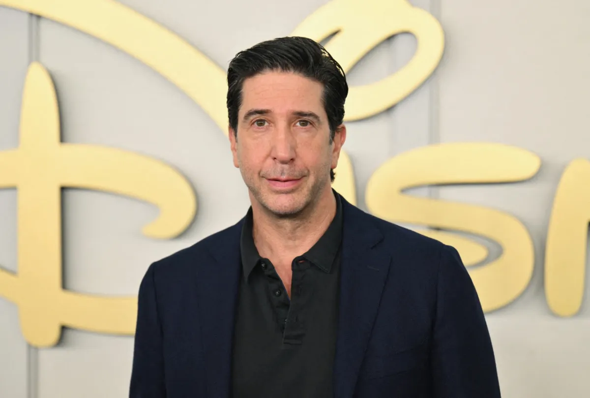 ديفيد شويمر في عرض ديزني بمدينة نيويورك (  David Schwimmer at the Disney Show in New York City). مصدر الصورة: Photo by ANGELA WEISS / AFP