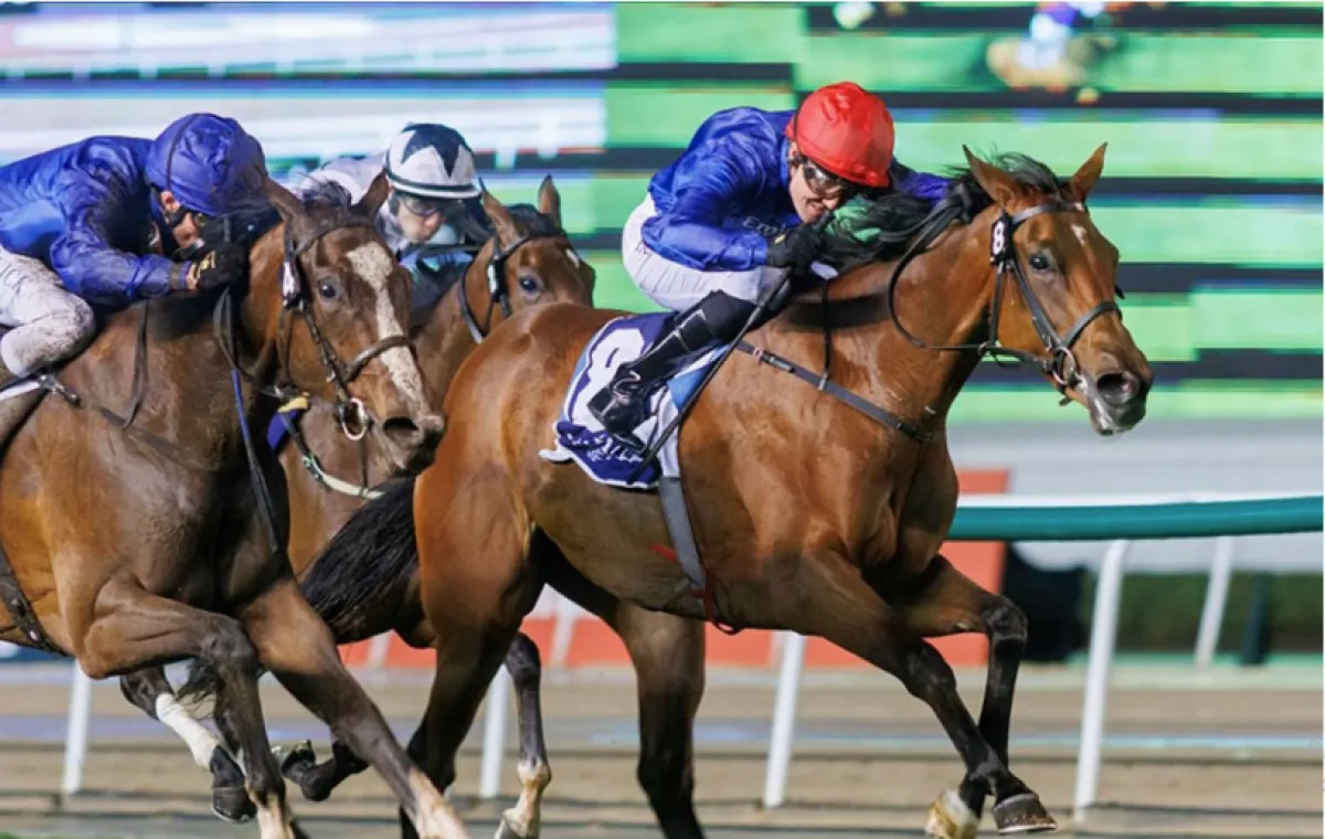 فاشون فرايداي الصورة من وام