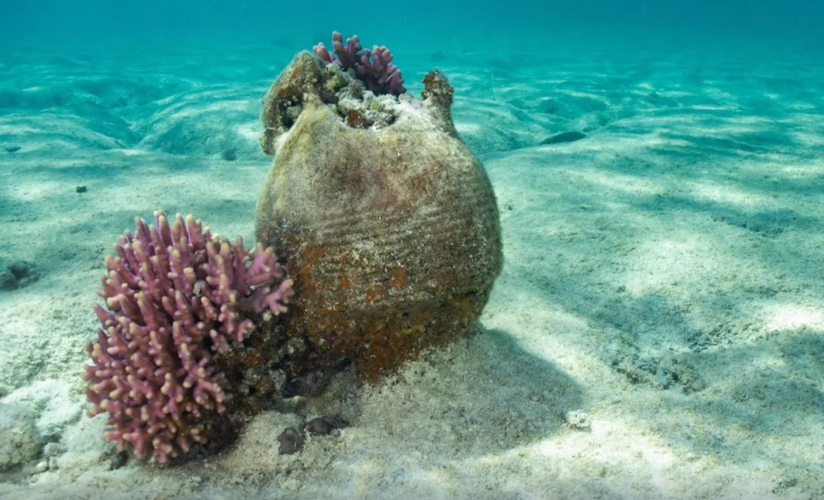 بمشاركة خبراء دوليين.. إطلاق أعمال مسح وتوثيق مواقع التراث المغمور بمياه البحر الأحمر