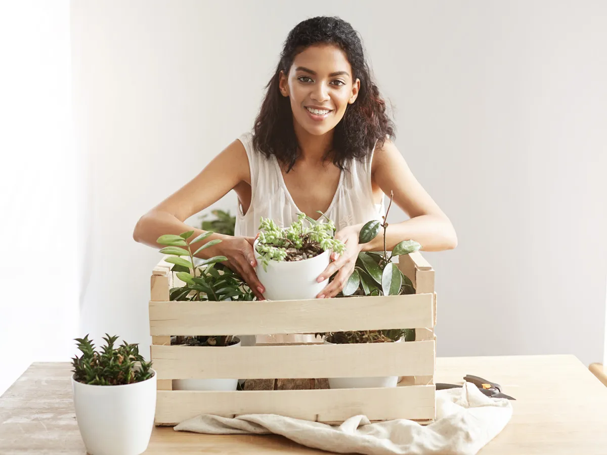 عشبة القطف لتحسين المناعة ومحاربة الأنيميا Image By Ftreepik